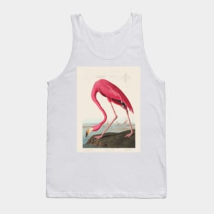 American Flamingo (1838) by John James Audubon Tank Top